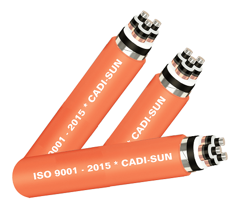 Cáp 3 lõi, màn chắn băng đồng, giáp băng thép 6/10(12)kV
