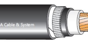 CÁP ĐIỆN CXV 1X 0.6/1kV