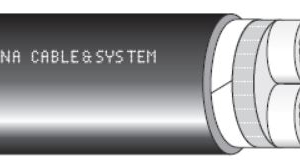CÁP ĐIỆN CXV 2X 0.6/1kV