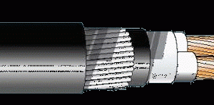 Cáp điện ngầm 2 lõi DSTA 2x