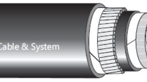 CÁP CXV 3x+1x 0.6/1 kV