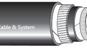 CÁP ĐIỆN CXV 3X - 0.6/1kV