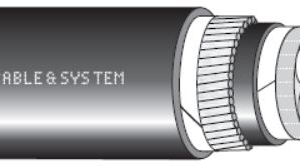 CÁP NGẦM DSTA 3X + 1 - 0.6/1kV